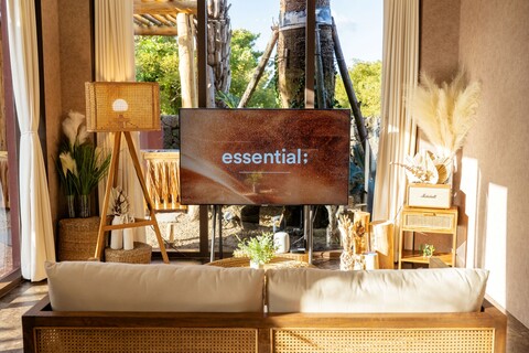 제주 스테이다르