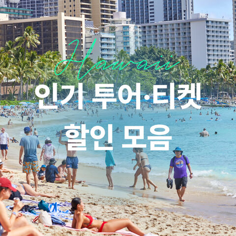 할인모음