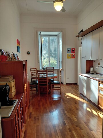 도피카 스위트 LT, C. 마로타