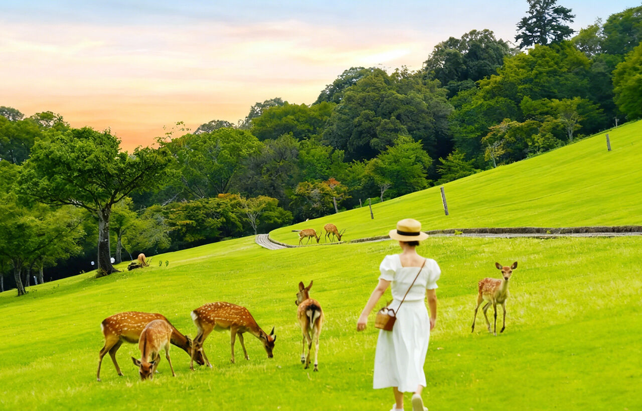 여행 상품 이미지