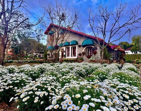 달랏 트레인 빌리지