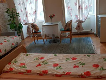 비엔나 태극기민박(개인실,가족실전용)