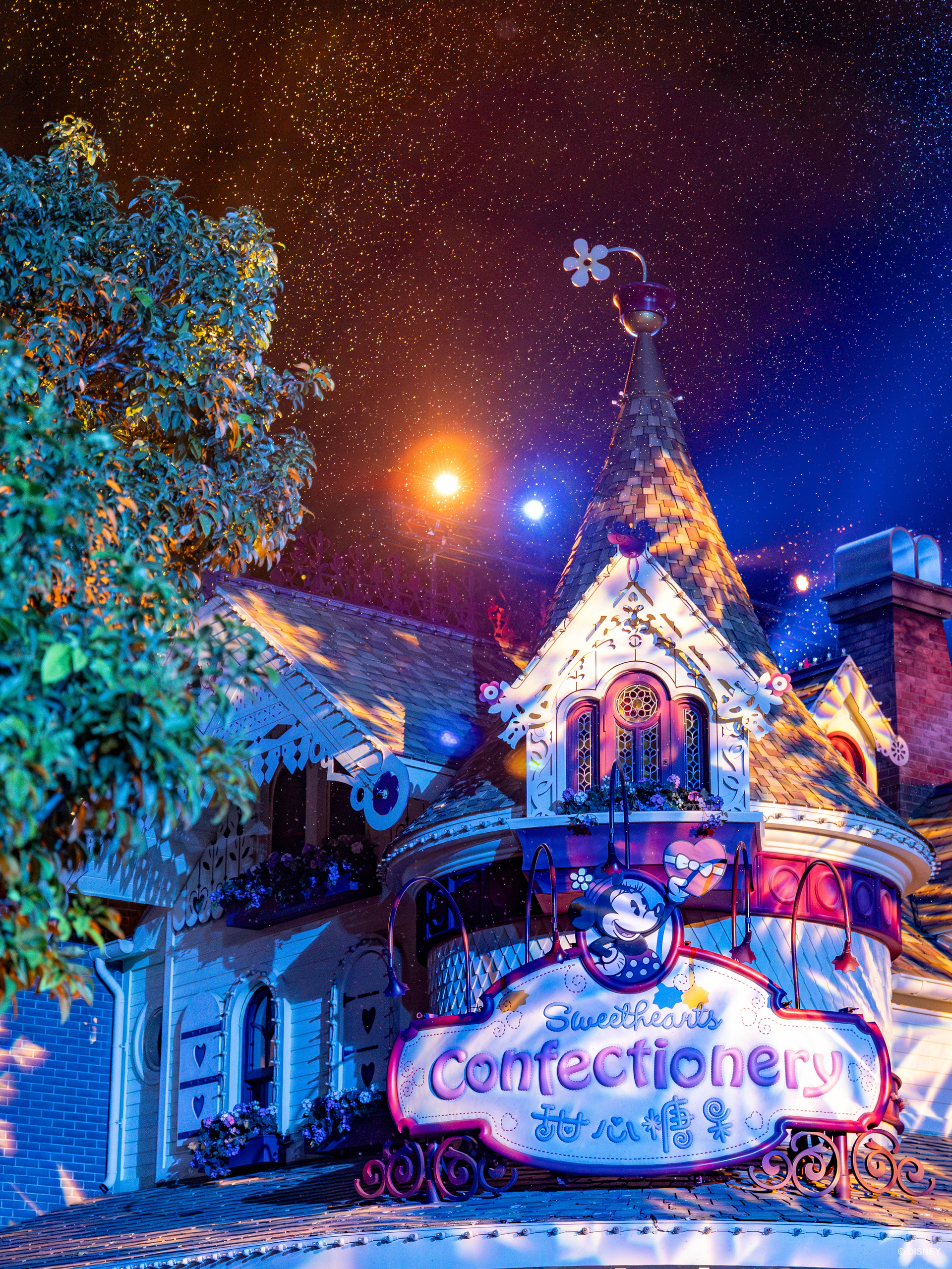 상하이 디즈니랜드 - 상하이 디즈니랜드 파크 1일권 + 프리미어 액세스 6 - 성인 - 마이리얼트립