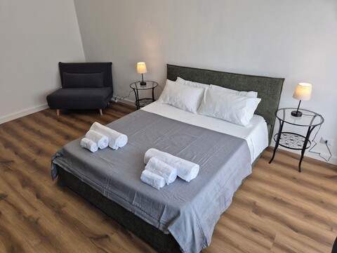 네스톱 콜리 알바니