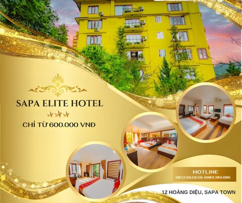 사파 엘리트 호텔