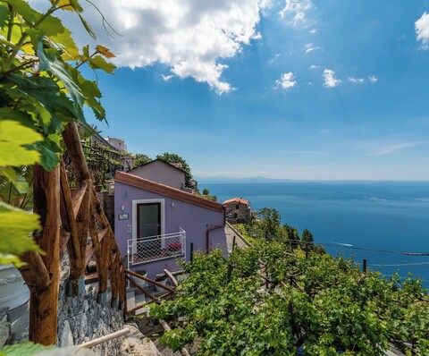 알베르고 디푸소 바코 푸로레