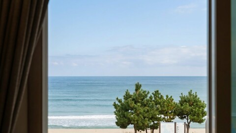 양양 해뜨는창문 애견동반 오션뷰 펜션