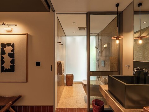 브라운 페더 페레레난