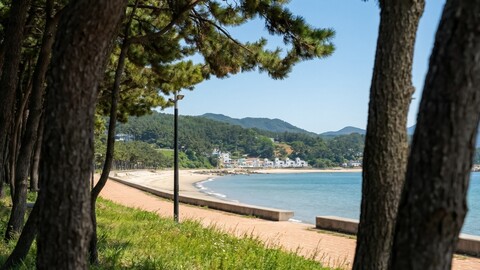 남해 달뜨는바다펜션