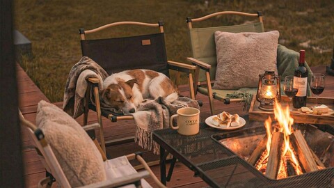 강화도 라비린토스 컴패니멀 펜션