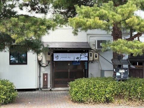 백패커스 진야