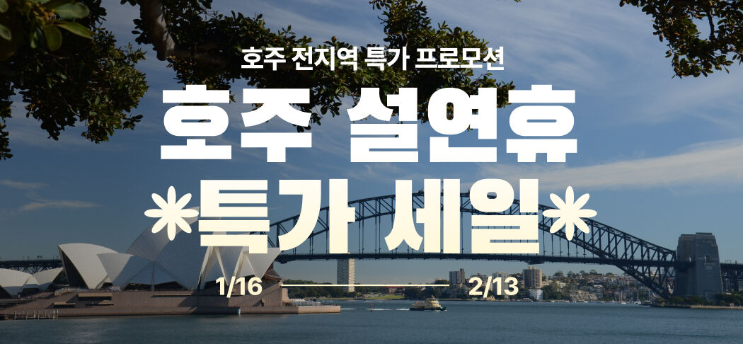 ♥️✨호주 설연휴 특가 세일✨🐨