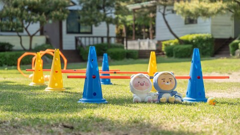 포천 럭스제이애견펜션