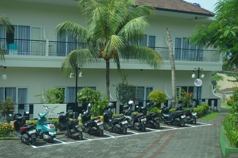 플라밍고 아퀼라