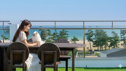 고성 멍스테이펜션