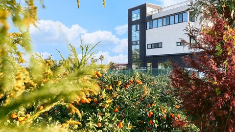 제주 Dk하우스 펜션