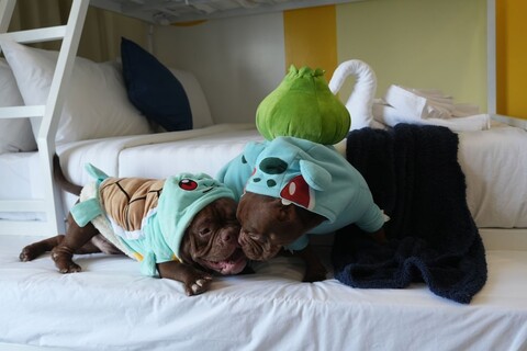 사파이어 씨뷰 파크