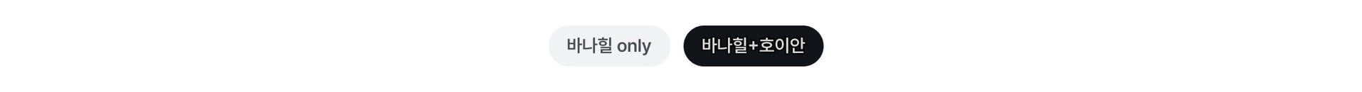 바나힐호이안_PC