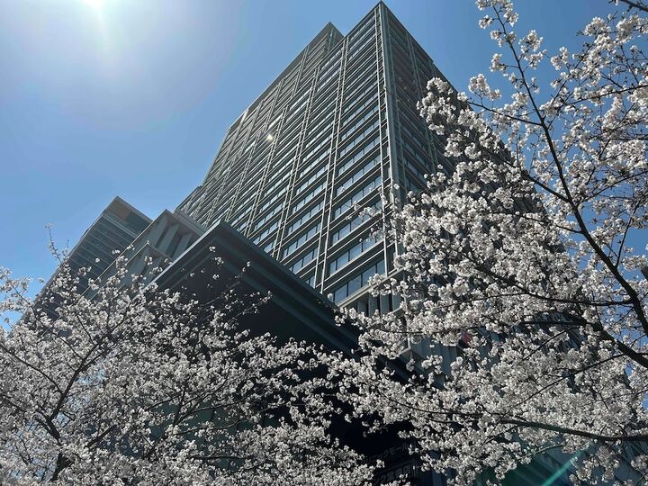 호텔 몬토레 그라스미아 오사카