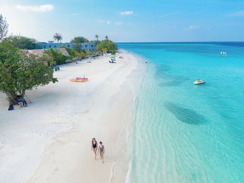 아얄라 오션 뷰