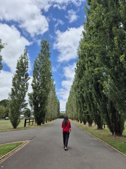 [프라이빗 단독투어] 우리끼리 자유롭게, 시드니 소도시 와이너리 포함 단독 3일코스-i