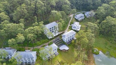 헤이븐 인 더 파인즈