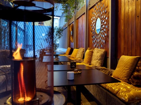 21 하우스 오브 스토리스 치타 스투디