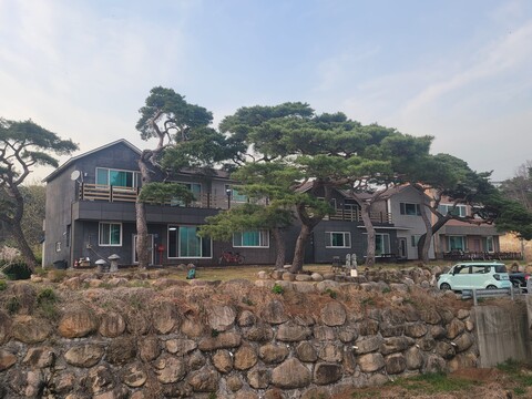 경주 솔향기파크 펜션