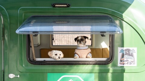 양양 리라캠프애견카라반