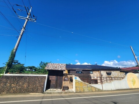 제주 팽나무1949