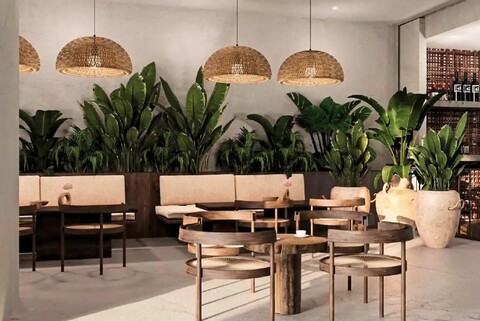 아나네아 후르가다 – 성인 전용