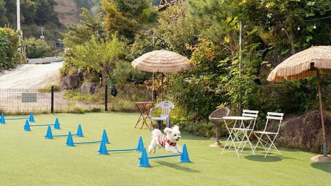 가평 아름마루 독채애견펜션