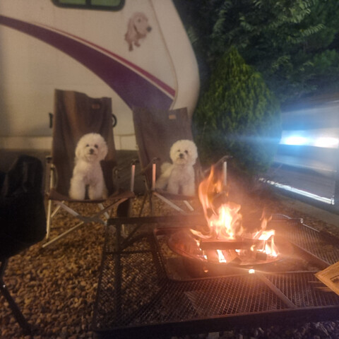 대부도(영흥도) 모모카라반