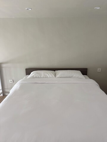 올리브 아테나 게스트하우스