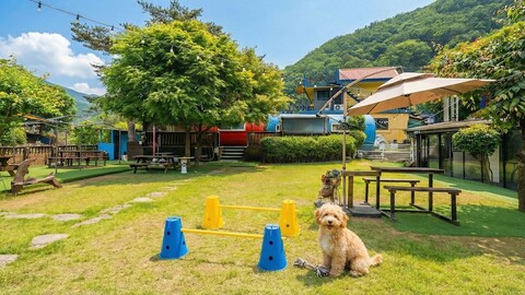 가평 베네치아애견펜션