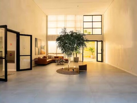 비바 벤스 폼페이아