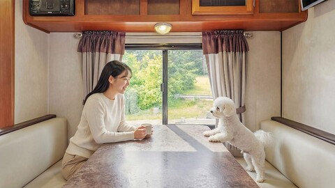 고성 쭌 애견동반 캠핑 카라반 펜션