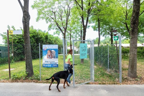 우 베네치아 캠핑 인 타운