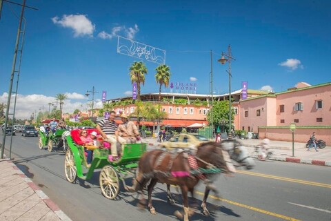 호텔 이슬란 메디나