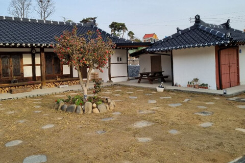 보령 달이 뜨면, 꽃이 피고