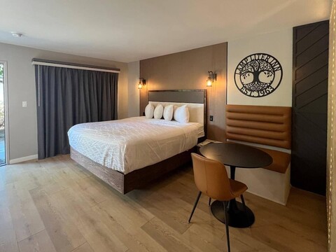 램프 라이터 인 비살리아, 어센드 컬렉션 호텔