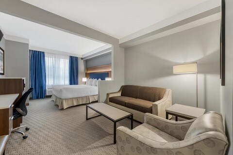 베스트 웨스턴 플러스 레블스토크