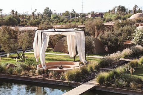 블리스 테라 잔나