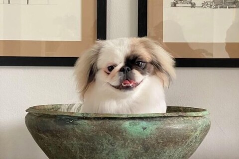 Siri Sala Private Thai Villa