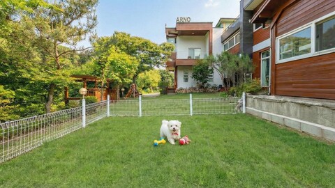 가평 아르노 애견동반 펜션