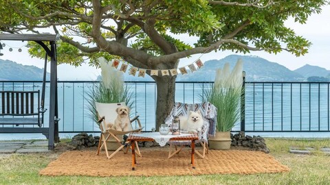 남해 씨스테이앤 애견동반 펜션