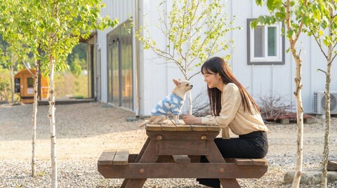 인제 다라니 애견동반 펜션