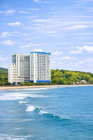 양양 코호스트 스튜디오