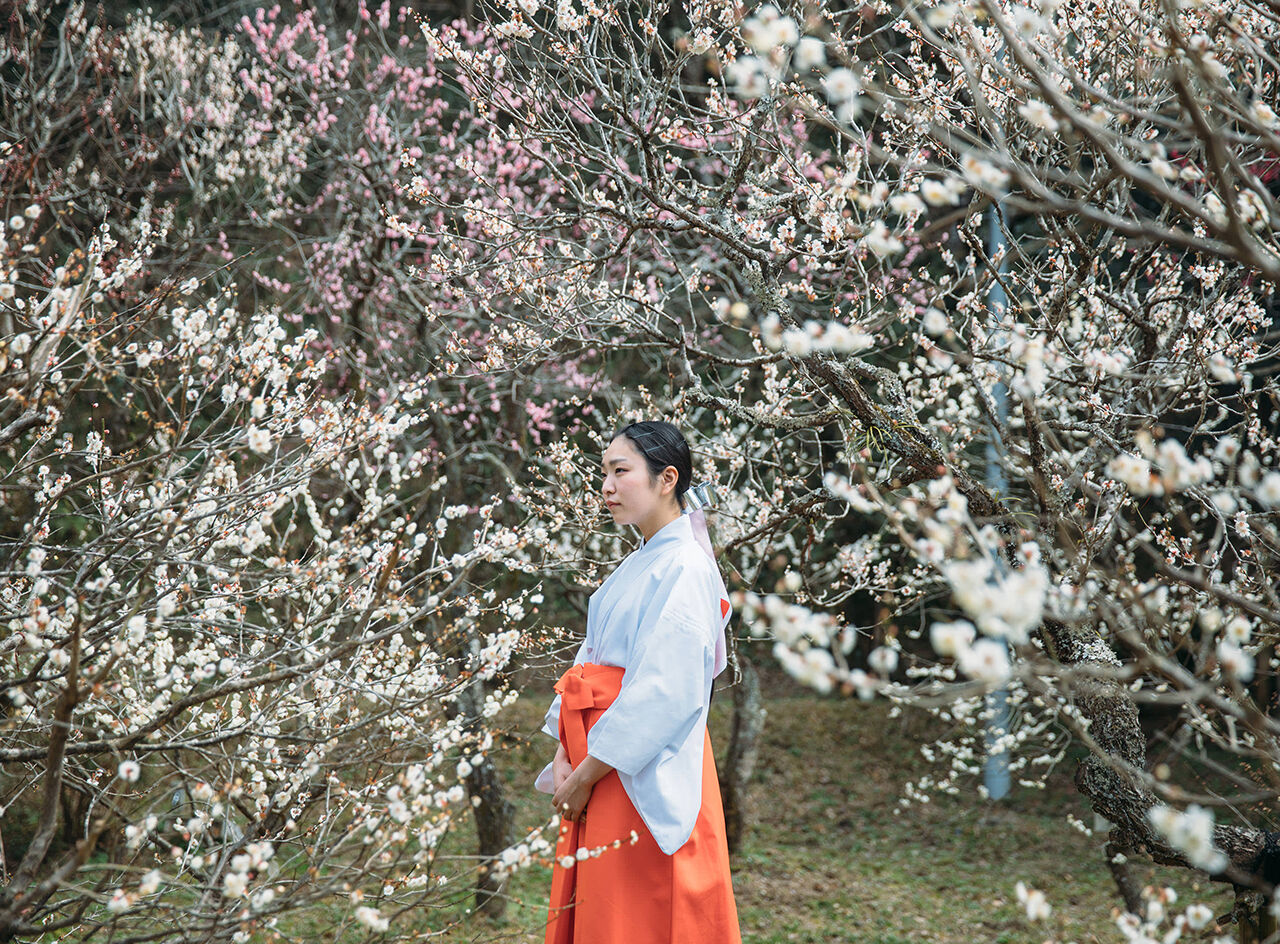 규슈 힐링 여행：다자이후·벳푸 전망·유후인 풍경 하루 코스