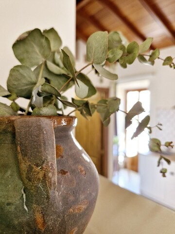 아파르타멘토스 비타 센터